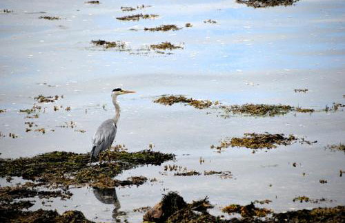 Ropewalk Cottage - A Little Treasure By The Coast - Foto 42