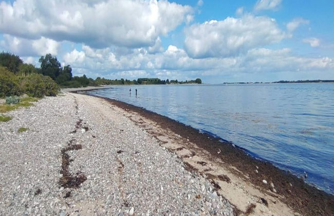 4 Person Holiday Home in Haderslev - Foto 33