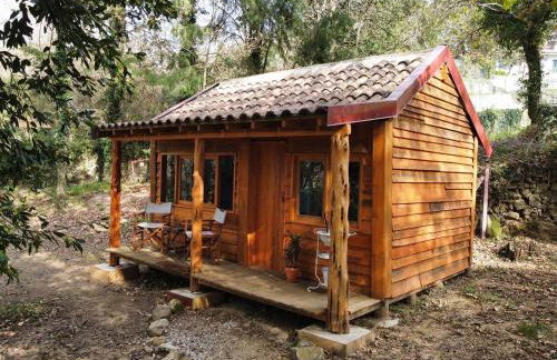 Associação Quinta das Relvas - Foto 37