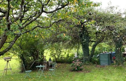 Tolles Apartment mit großer, überdachter Terrasse - Foto 21