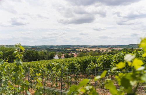 Appartment in den Weinbergen bei Mainz - mit 2x Doppelzimmern, 1x großes Wohnzimmer, Bad & Küche - Foto 22