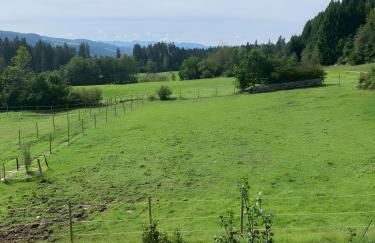 Lieblingsplatz - Foto 16