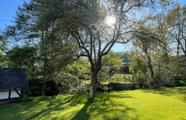 Ferienwohnung - Jakobs Hütte - Foto 5