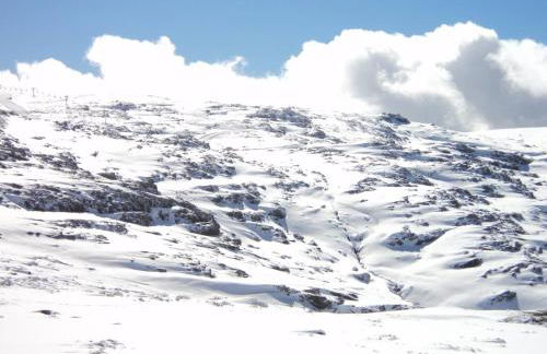 Casa Ferreira - Foto 28