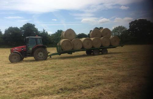 Rew Farm Country and Equestrian Accommodation - Sunset Lodge - Photo 39