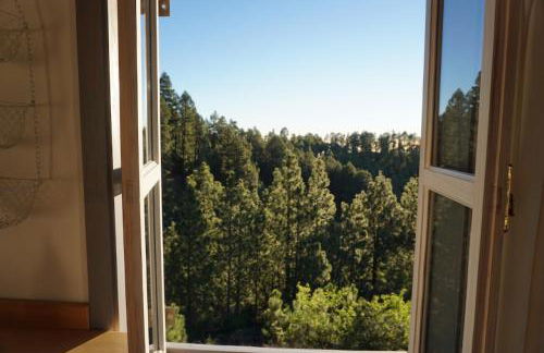 Tiny House Vogelnest - Foto 10