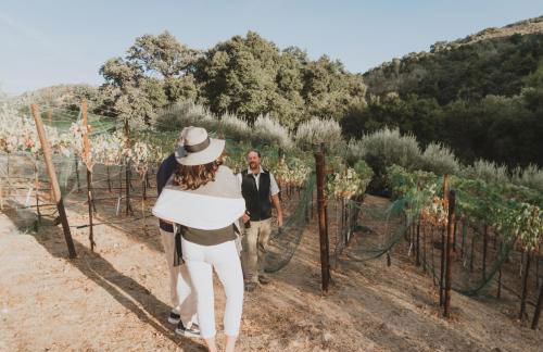 Serene Vineyard Chateau with Pool, Hot Tub, BBQ - Foto 57