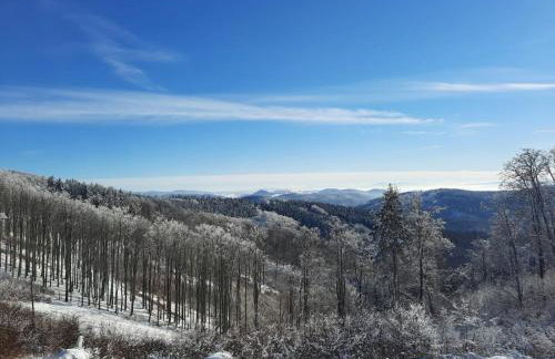 Domek Ostoja - Foto 57