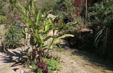 Cantinho da boa sorte - Sana - Photo 10