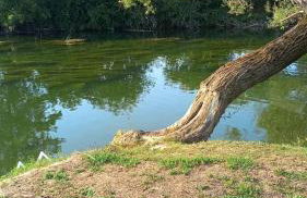 Kuća za odmor Zora - Foto 54