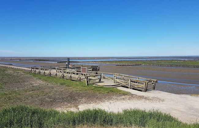 Haus Hemenswarft - Foto 68