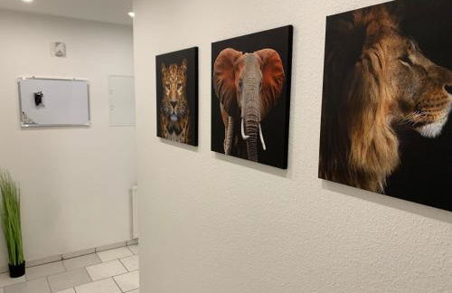 2-Zimmer-Wohung Langelsheim Astfeld - Foto 23