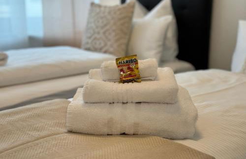 3 Zimmer Apartment, 90 qm, ruhig und zentrumsnah, max 6 Pers, 15 qm Balkon , private Garage, Internet 1000 MBit - Foto 13