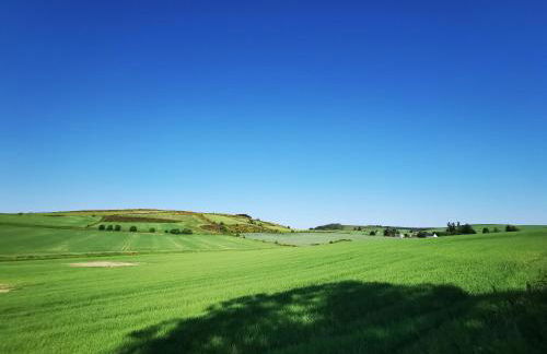 Private peacefull pet friendly converted country cottage - Foto 22