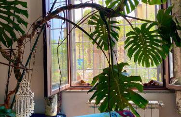 VillaMarzia - Foto 25