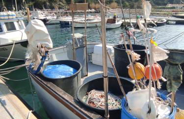 CASA VACANZE IN CAPRAIA ISOLA - Foto 15