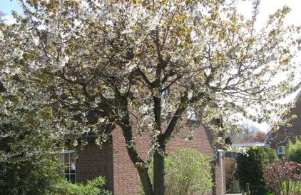 Ferienhaus Schenk - Foto 18