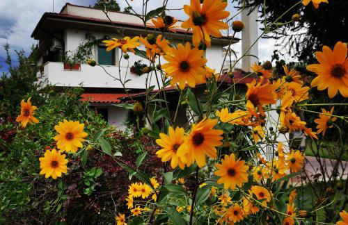 Il Ciliegio Holiday Apartment With Garden - Foto 47