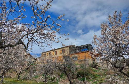 Cal Foraster - Foto 45