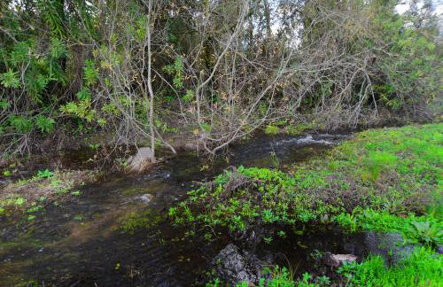 Moinho da Capela - Foto 22