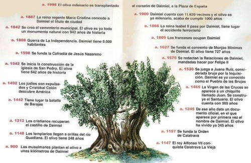 SUITE LUJOSO CON CHIMENEA - Foto 26