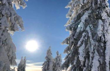 Haus Annemarie - Foto 33