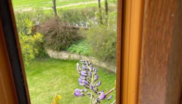 Hardy View Farm House - Foto 4, Garden, Garden view