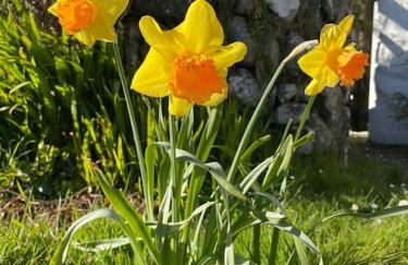 The Hut@Trefechan Wen - Coastal Coziness! - Photo 78