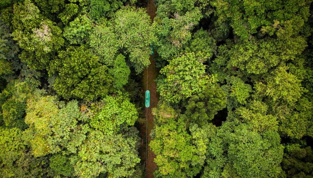 Entrada al parque de aventura Rainforest Santa Lucía - Foto 2, Vista aérea de la vegetación del Parque de aventuras Santa Lucía
