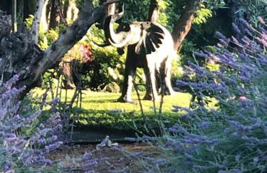 Cozy Chalet in Castell'Arquato 90 m² with Private Pool - Foto 68