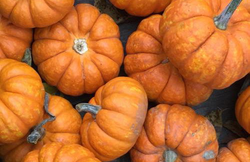 Meadow Sunrise - Foto 39