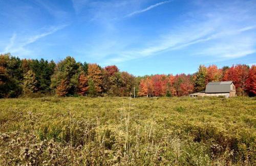 Secluded Cabin Rental near Letchworth State Park in Buffalo, Arcade, New York - Foto 19