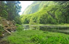 Casa vicente - Foto 40