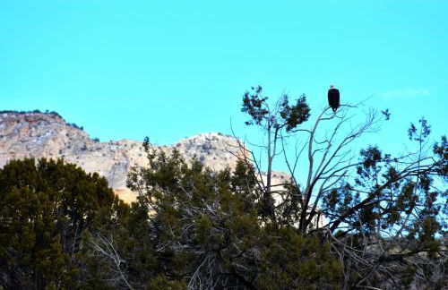 Arrowhead Country Cabins - Foto 46