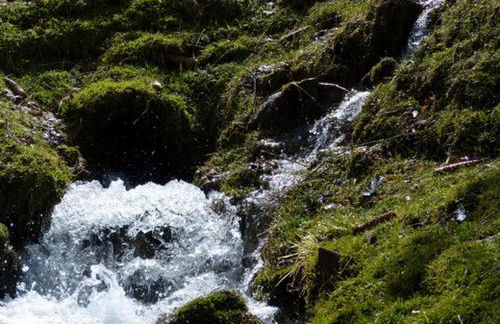 Haus Wald-Eck - Foto 18