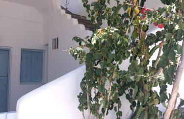 Astrofegia guest house - Photo 16