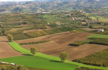 La Vigna Del Parroco - Foto 53