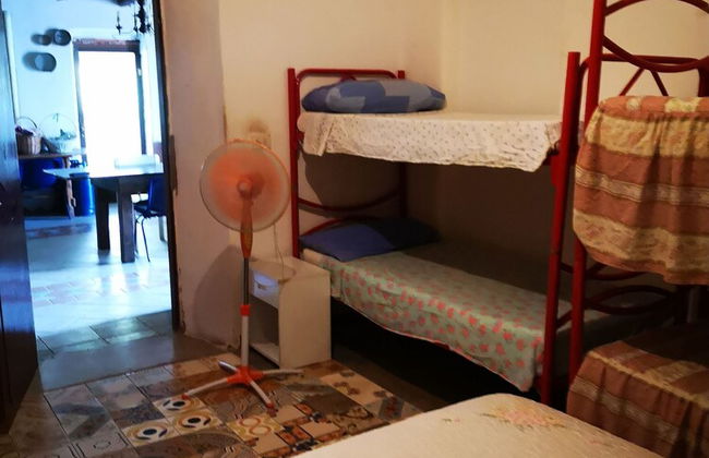 Country House in the Su Gologone Area 30 km From Cala Gonone 5 km From Oliena - Photo 21