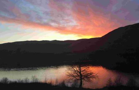 Wilderness Apartments - Foto 7