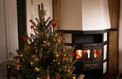 Domek Pod Lasem - Foto 29