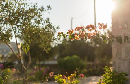 Villa Patmos Netia - Foto 34