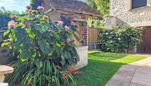 L'Abaca 21 - Foto 2, Garden