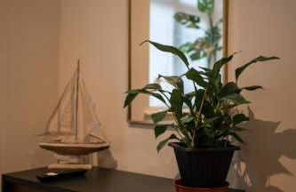 Stunning 2 Bedroom Ground Floor Sea View Apartment - Foto 30