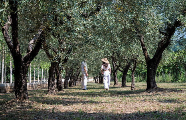 Family Farm Soc. Agricola - Agriturismo - Foto 60
