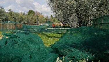 Il Podere di Sole - Foto 5