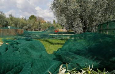 Il Podere di Sole - Foto 5