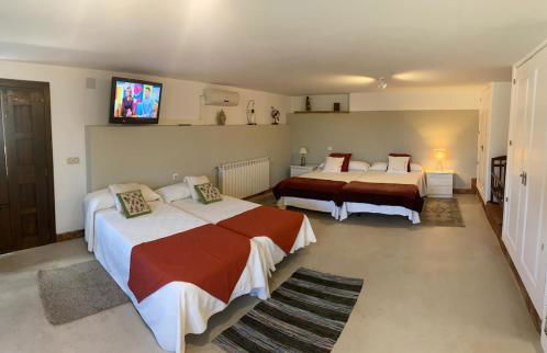 Finca Los Sauces-Rural House-Buenasbodas-Toledo - Foto 57