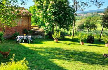 L'oca Nera - Foto 37