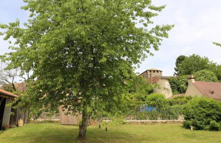 Au relais du croquant du Périgord, classée 3 étoiles - Foto 26