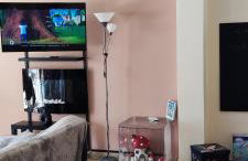 Delphitea Philoxenia - Photo 47